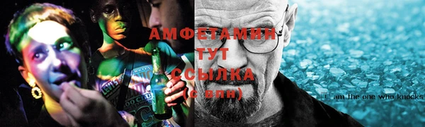 прущие грибы Белокуриха