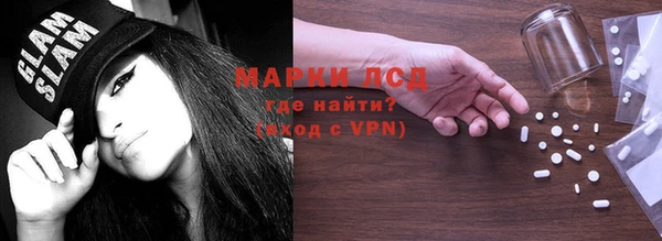 прущие грибы Белокуриха
