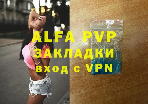прущие грибы Белокуриха