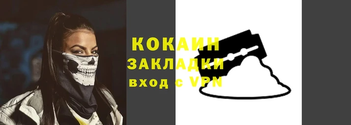 прущие грибы Белокуриха