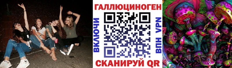 Псилоцибиновые грибы GOLDEN TEACHER магазин продажи наркотиков блэк спрут онион Вязники