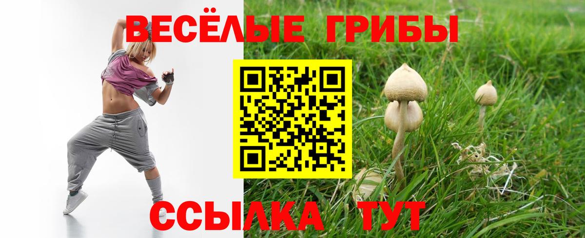 Вязники  Псилоцибиновые грибы мухоморы  Вход с VPN 