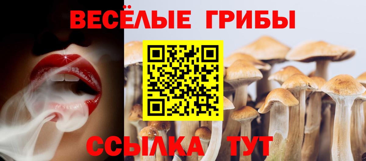 Вязники  COCAIN  A PVP СК   Меф  Вход с VPN  ГАШИШ  Гашиш  Конопля  Мефедрон  